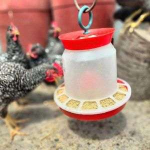 Agroland raportează o creştere de 65% a profitului net la nouă luni